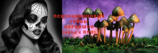 прущие крисы Абинск