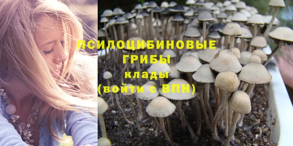 не бодяженный Алзамай