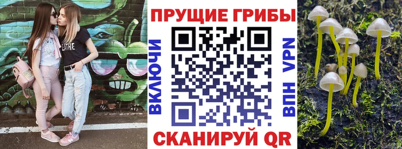 Псилоцибиновые грибы мухоморы Гаврилов Посад