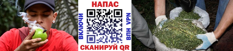 наркошоп  Гаврилов Посад  МАРИХУАНА план 